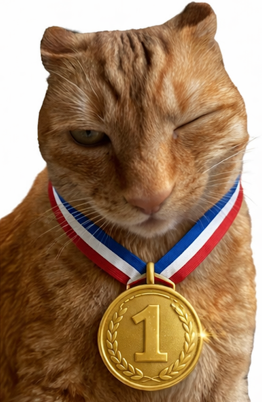 Brush Jjaemu cat brushing game orange cat reaction